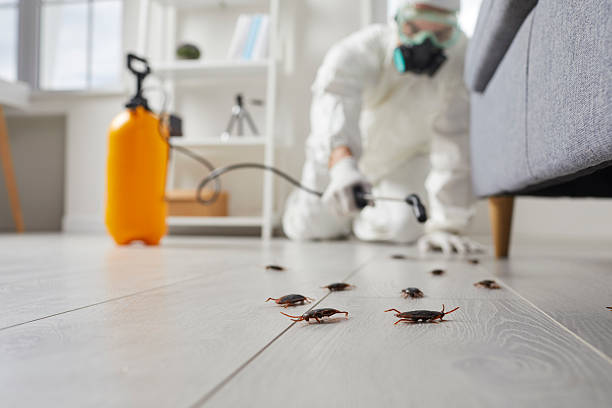 Commercial Kitchen Cockroach Control in Spokane Valley